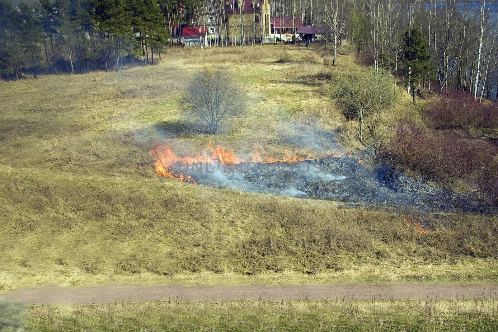 dry last year's grass burning in the spring on the earth   