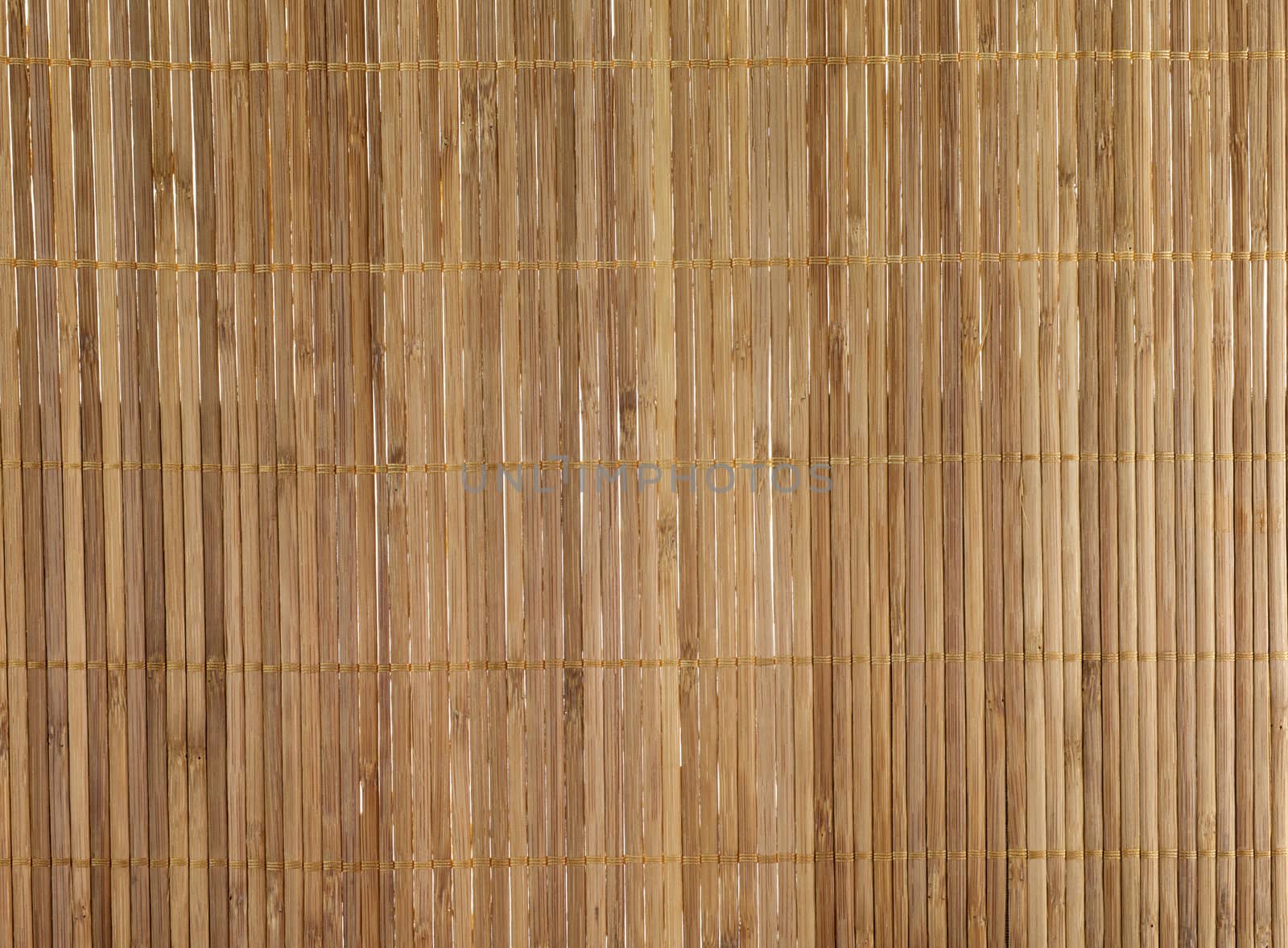 bamboo background by compuinfoto