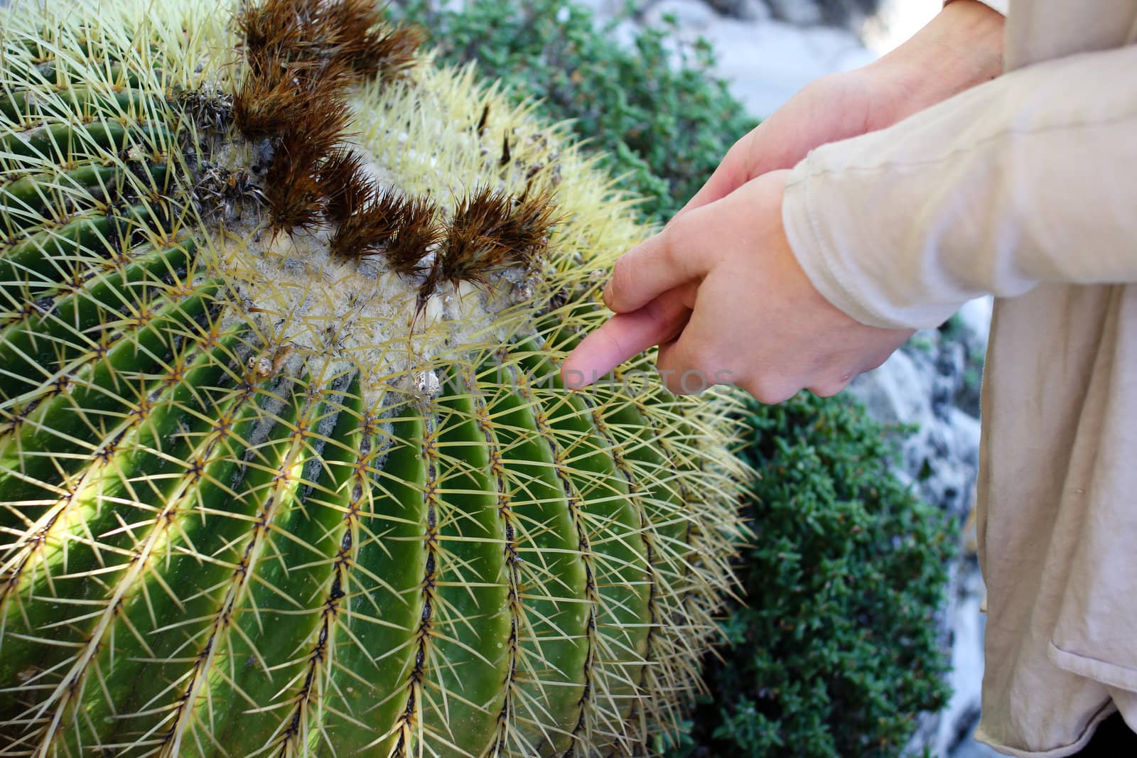 Woman hurt herself on a thorn from a cactus and is holding her hand