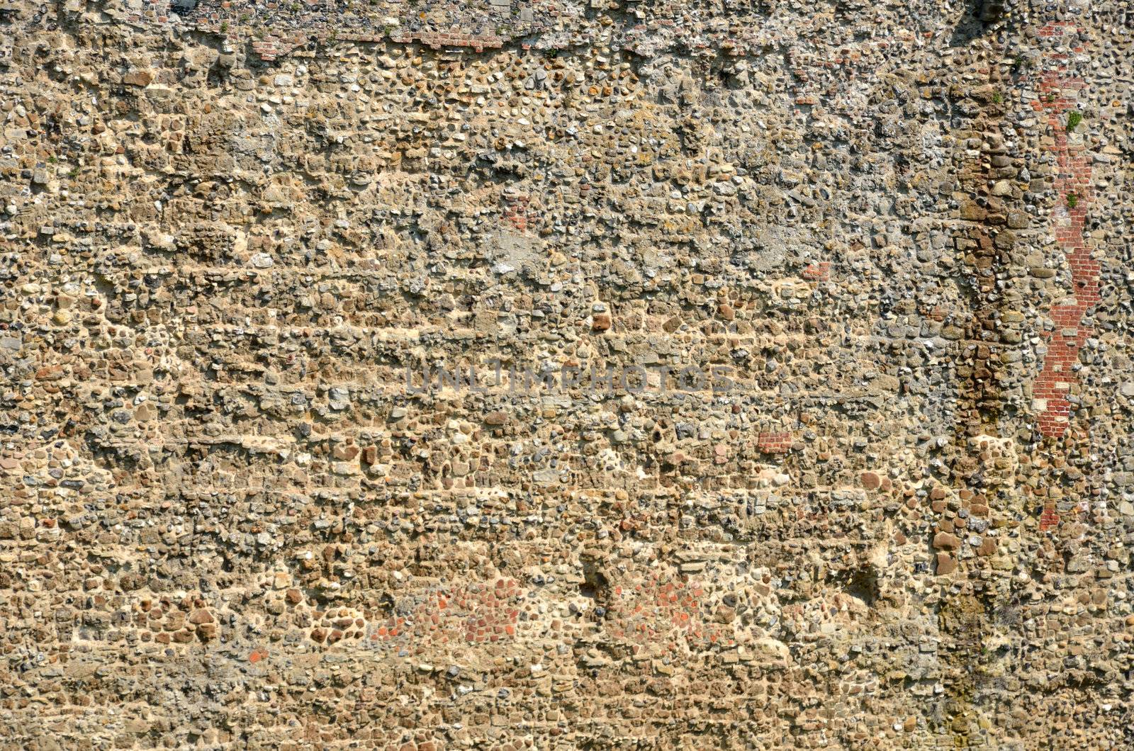 Castle Wall Detail