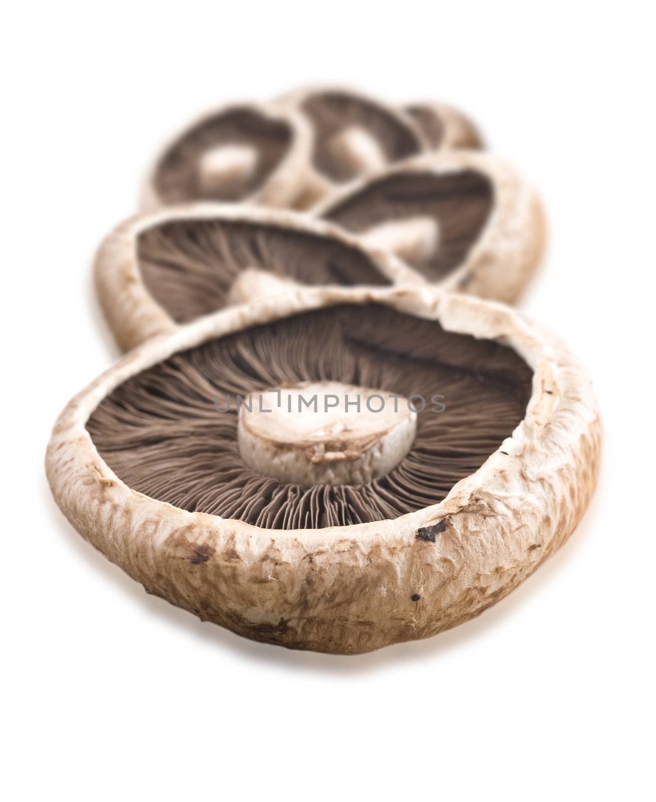 Healthy fresh mushroom on white background by tish1