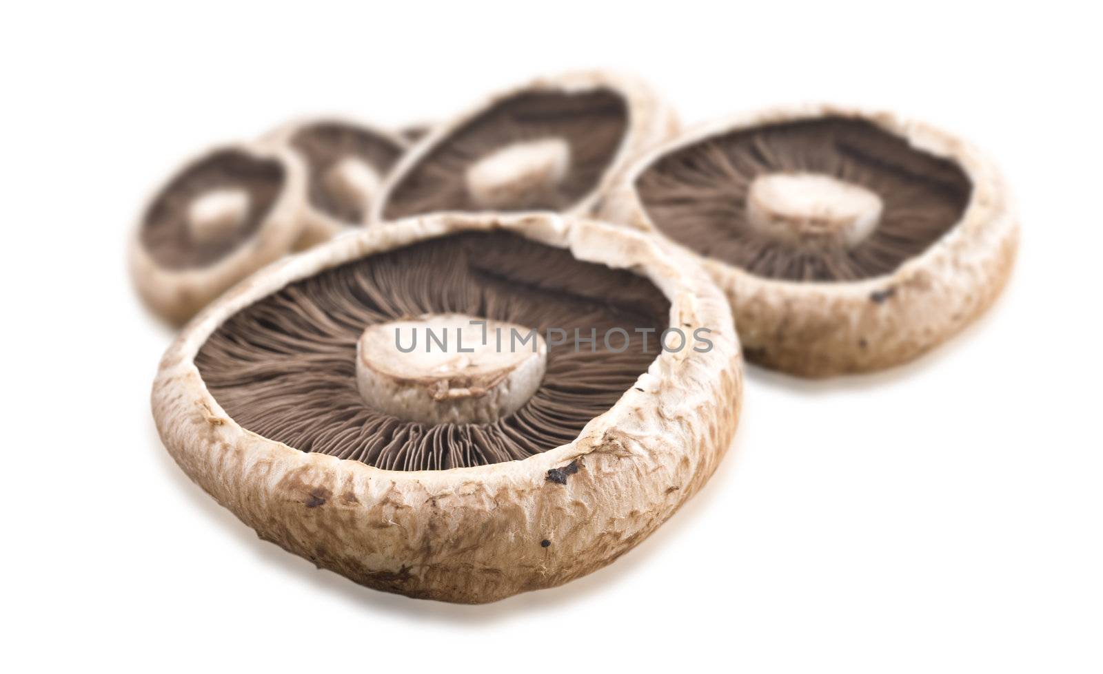 Healthy fresh mushroom on white background by tish1