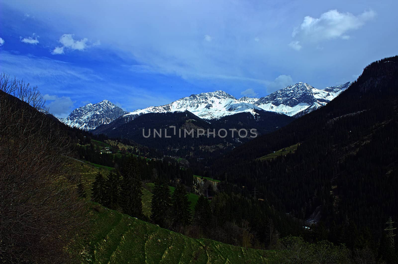 Magnificent view from the hill by the Alps. by diaboloo