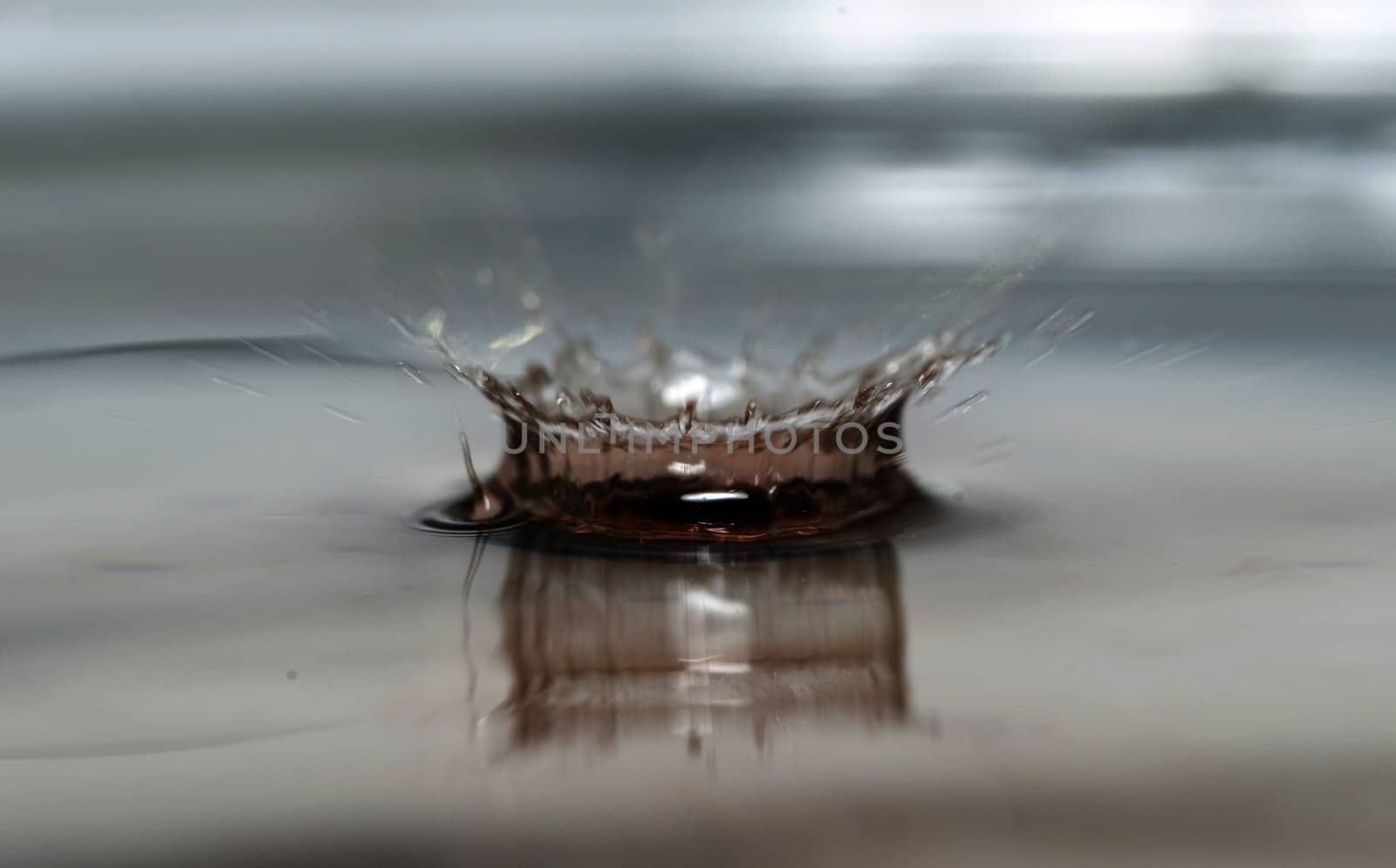 movement of a falling water drop red wine in fresh water