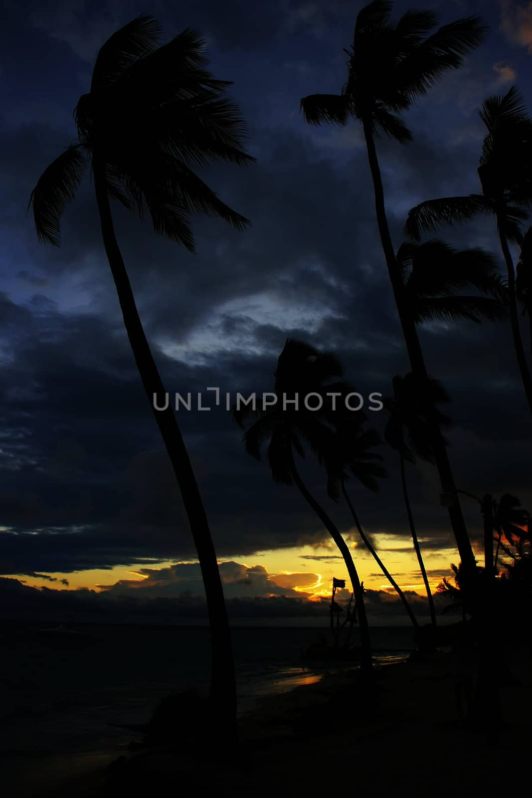 Silhouettes of palm trees on a tropical beach at sunrise by donya_nedomam