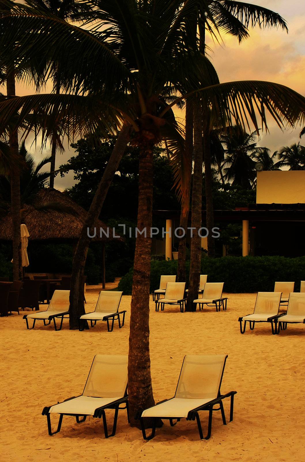 Beach chairs and palm trees on a beach by donya_nedomam