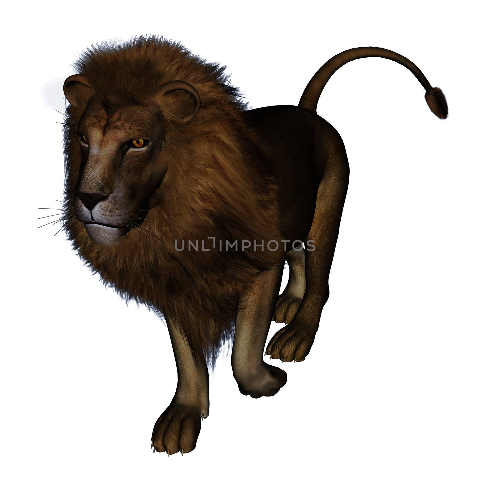 3D digital render of a lion on white background