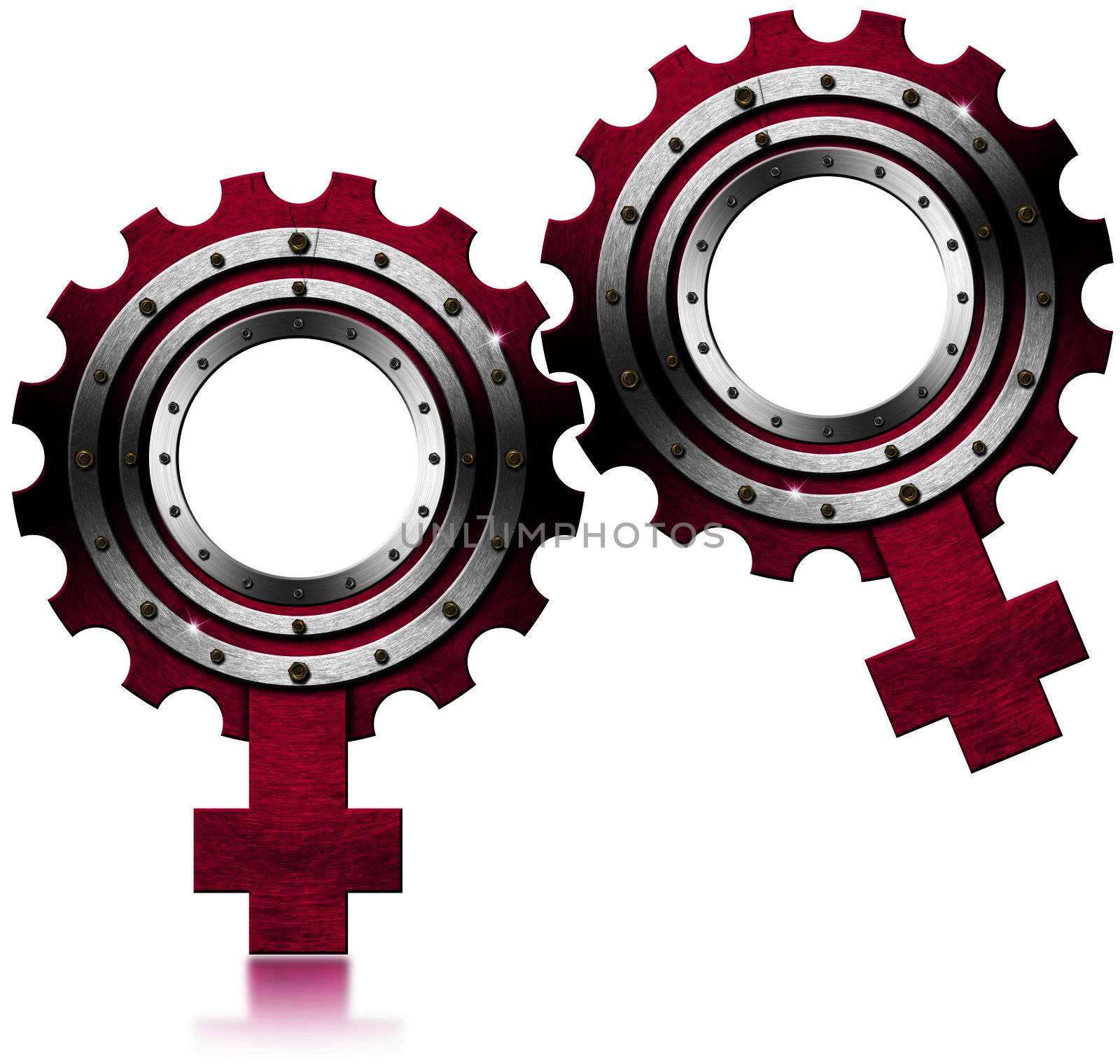 Two Female symbols on white background - gay relationship  - shaped gears

