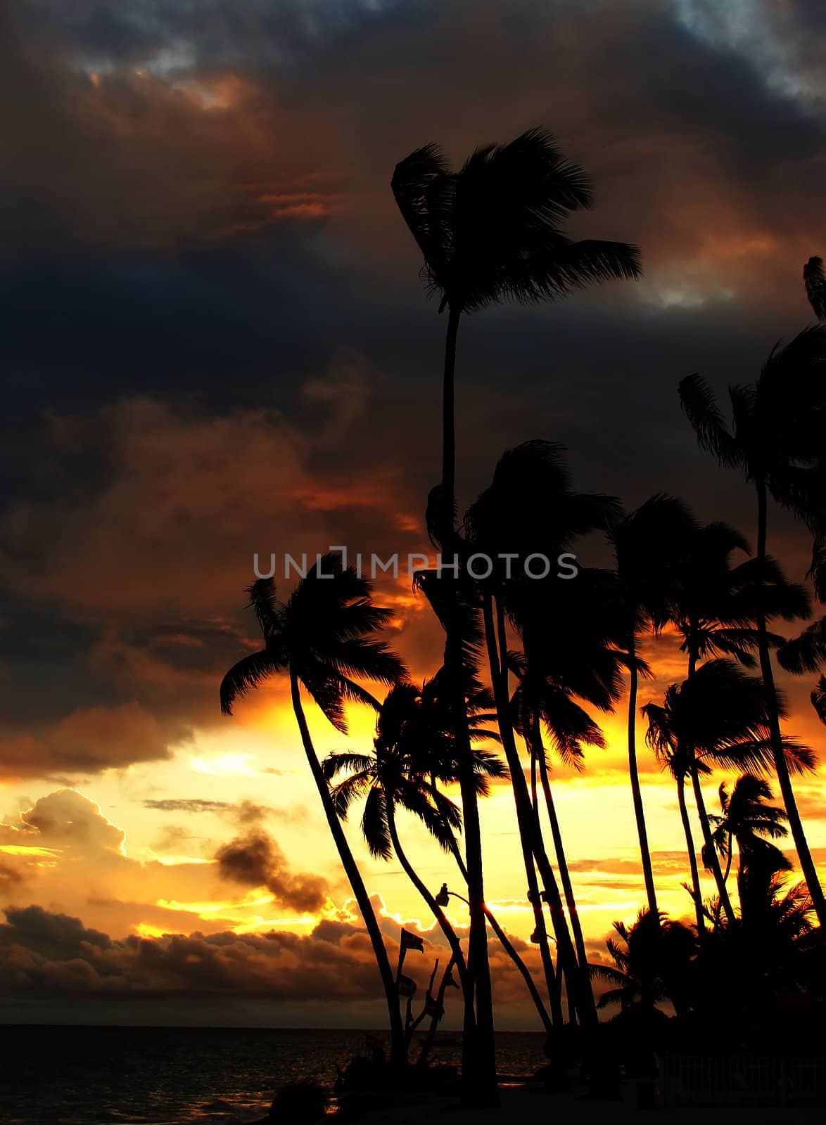 Silhouettes of palm trees on a tropical beach at sunrise by donya_nedomam