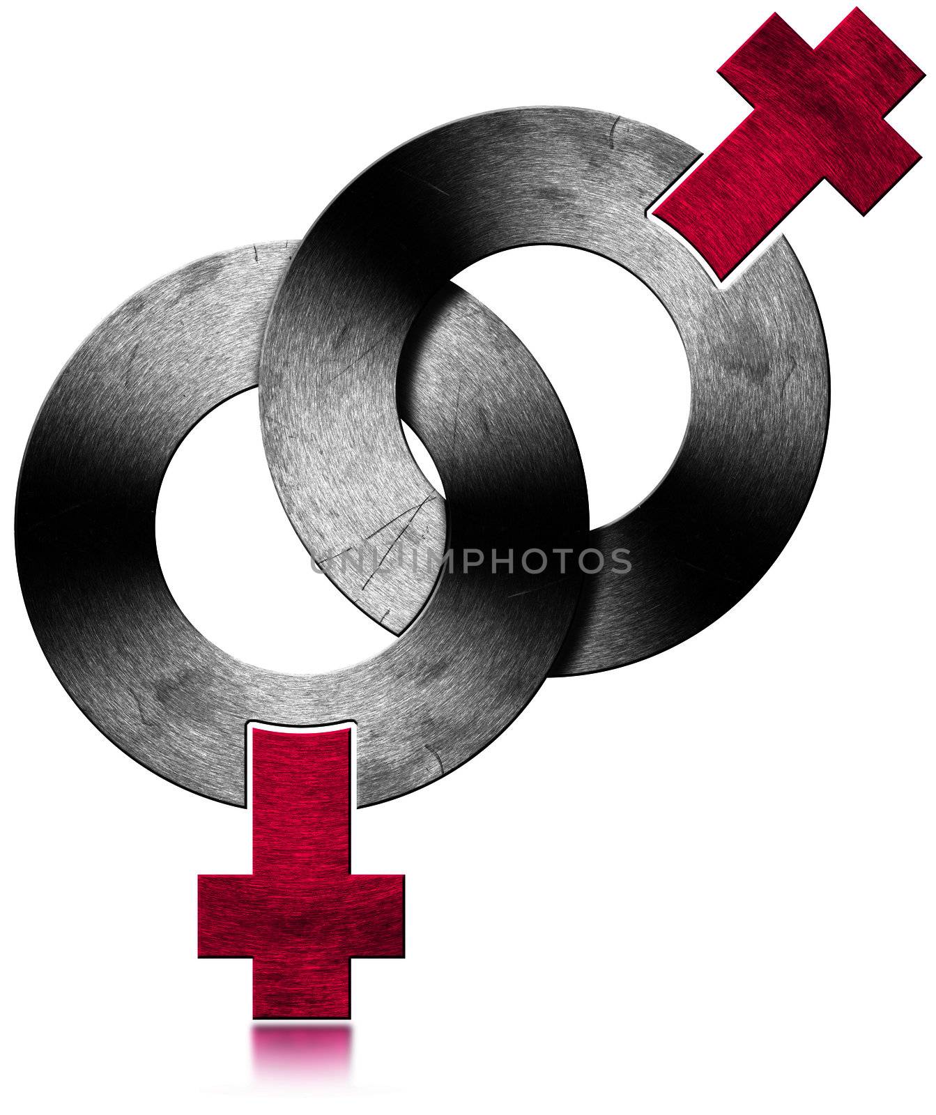 Two Female metallic symbols on white background - gay relationship
