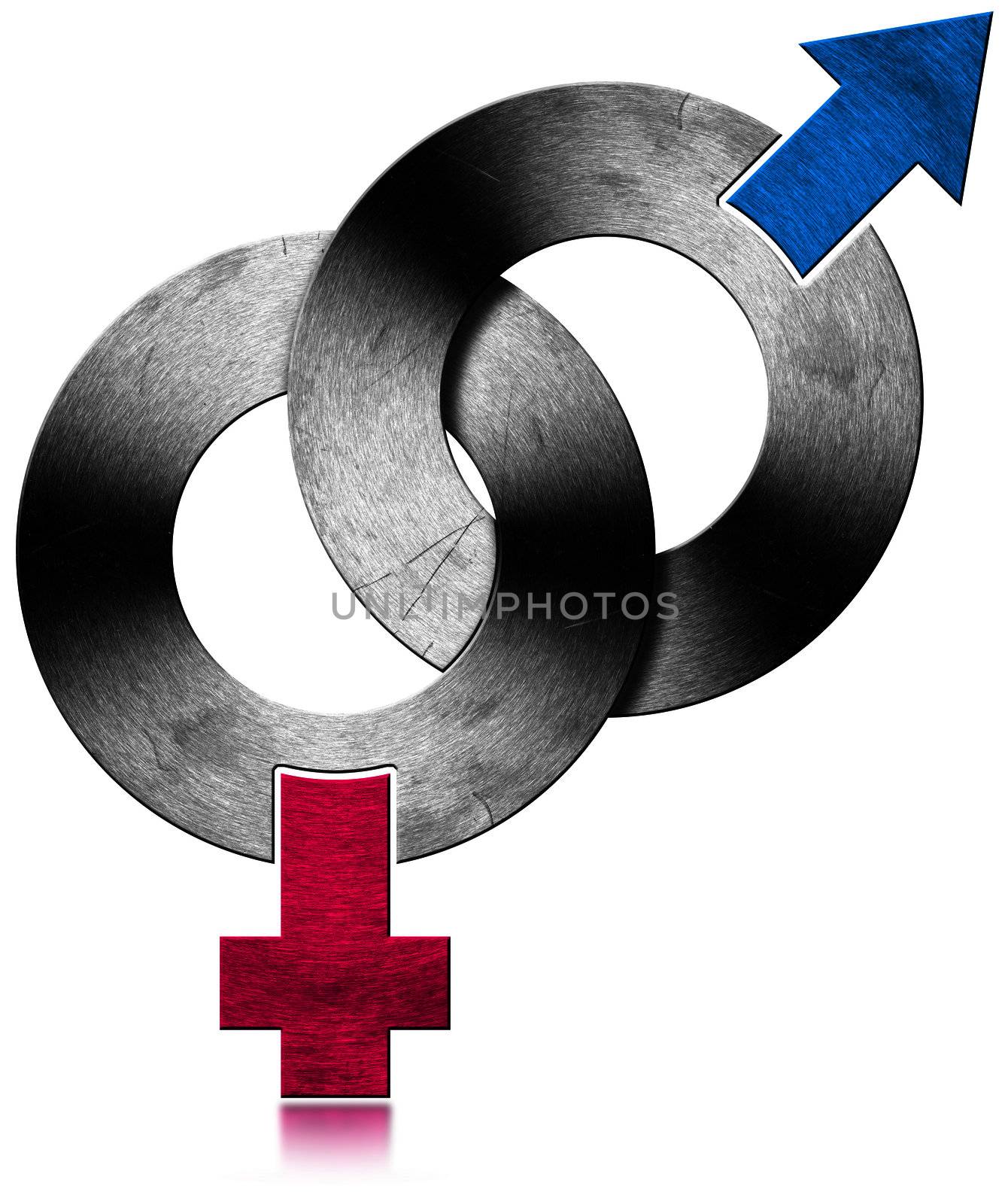 Male and Female Metal Symbols by catalby