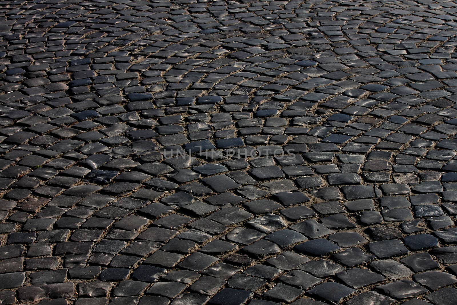 cobble stone road in Uzhgorod, Ukraine