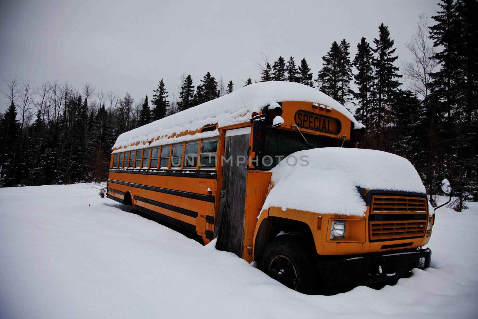 Abandoned weird school bus