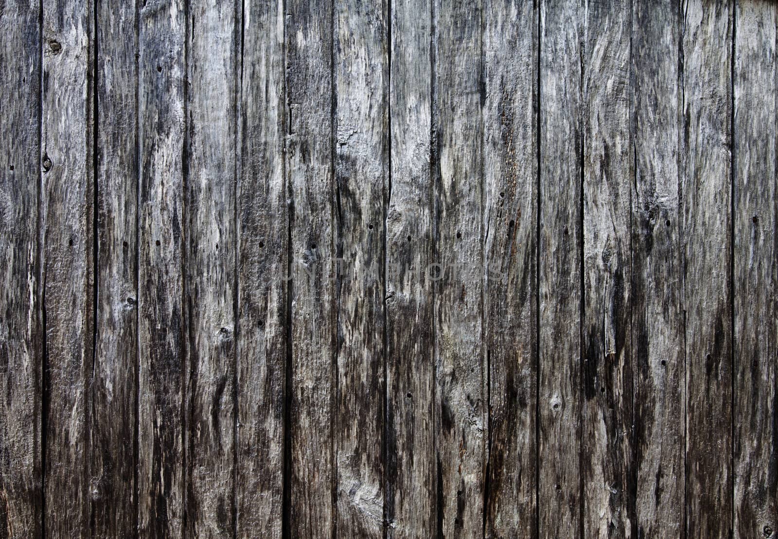 Old barn wood - TEXTURE
 by aetb