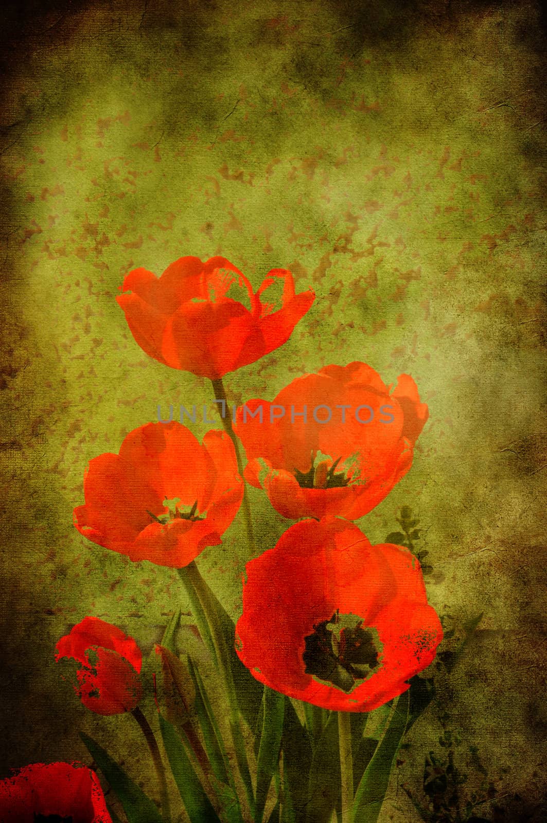 Artistic tulips with grooved feeling