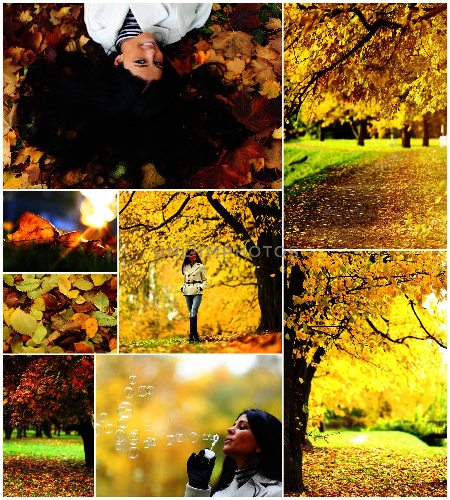 collage of autumn cards