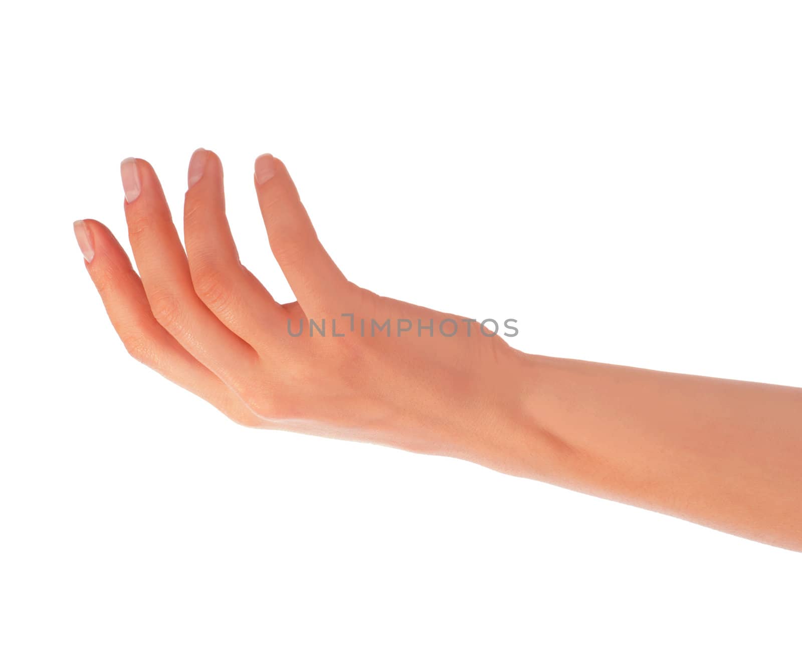 Empty open woman hand on white background