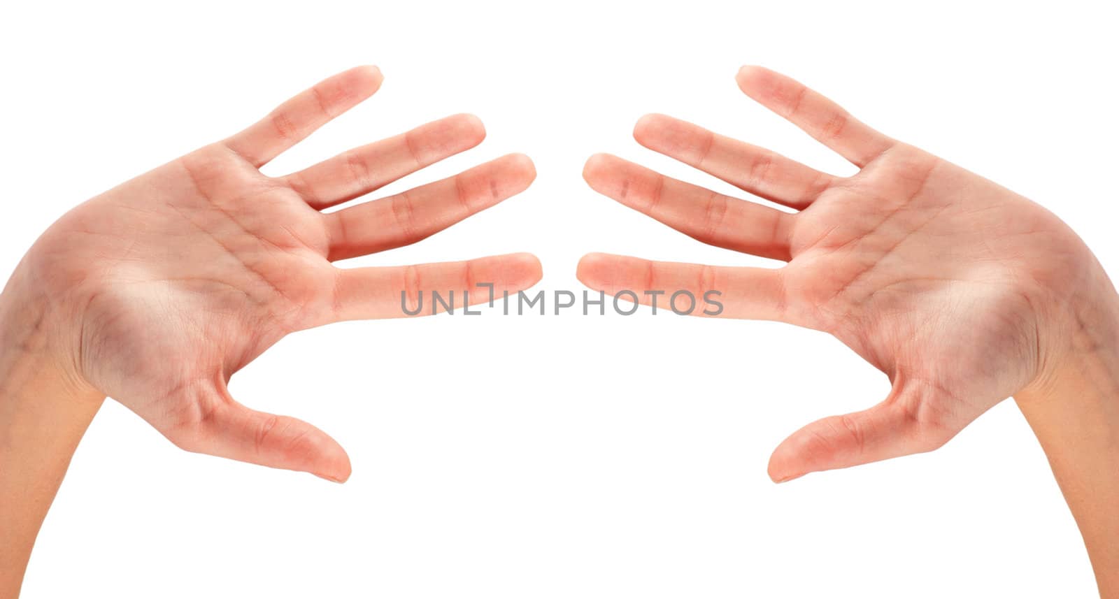 hand gestures isolated on a white