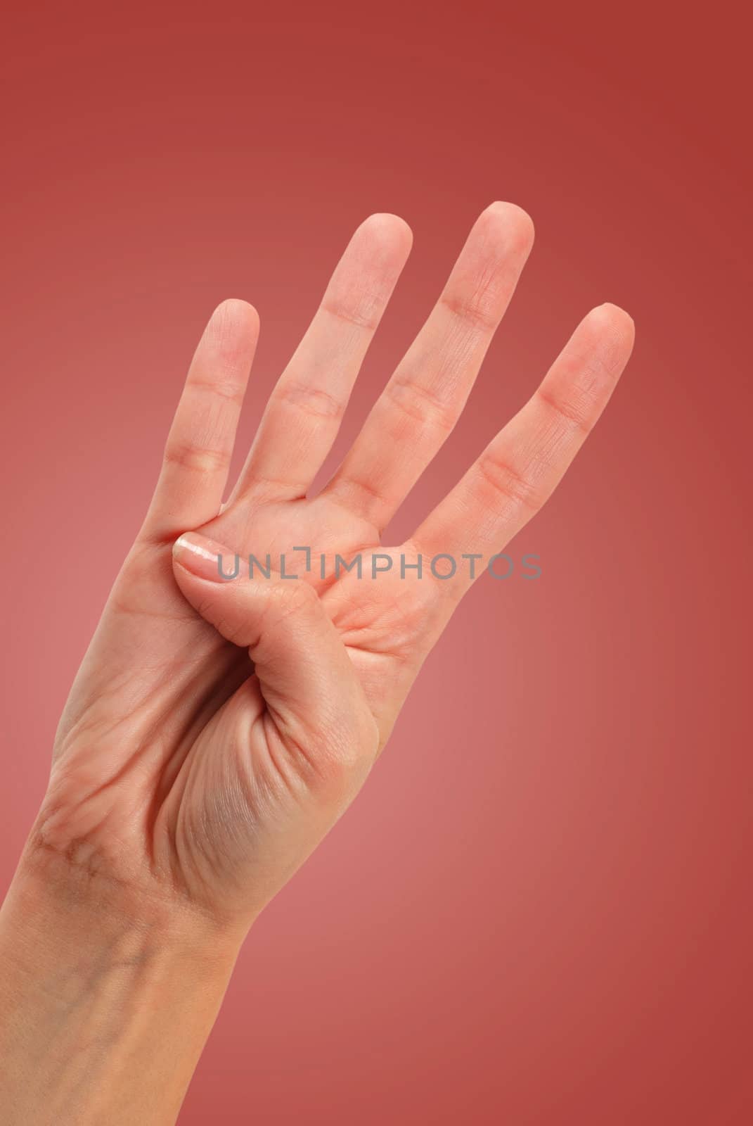 Hand Gesture - Number Four isolated on white
