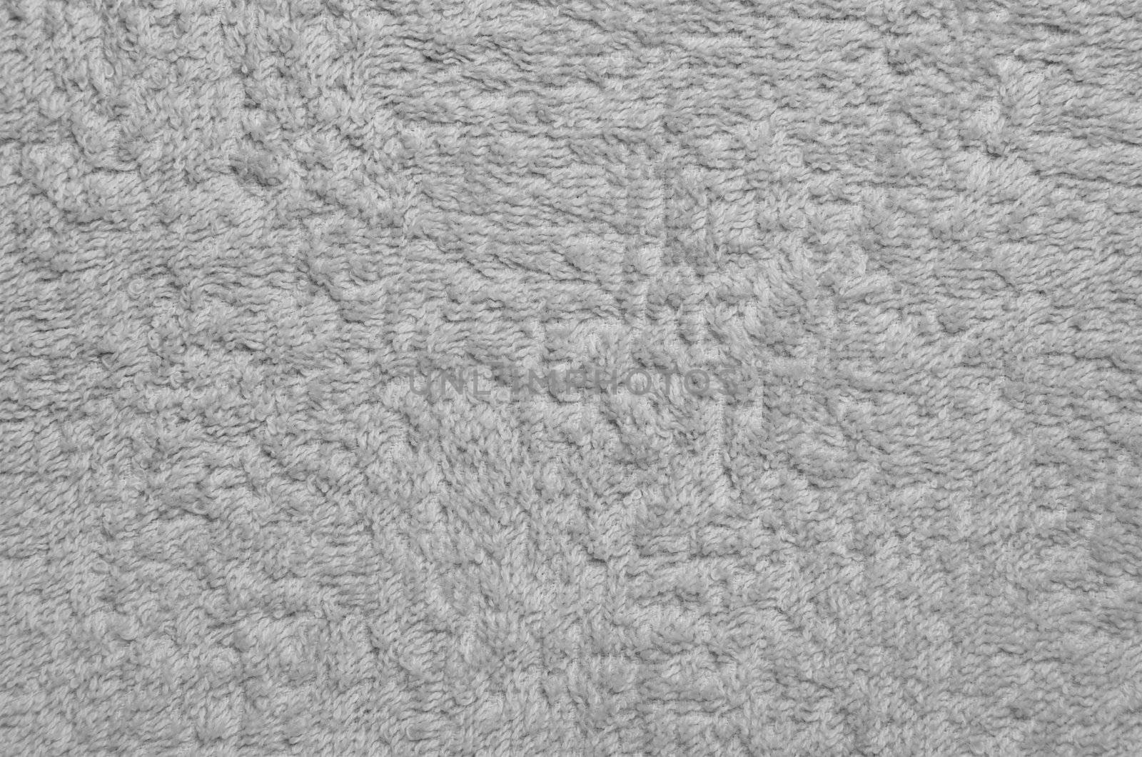 Wool sheep closeup