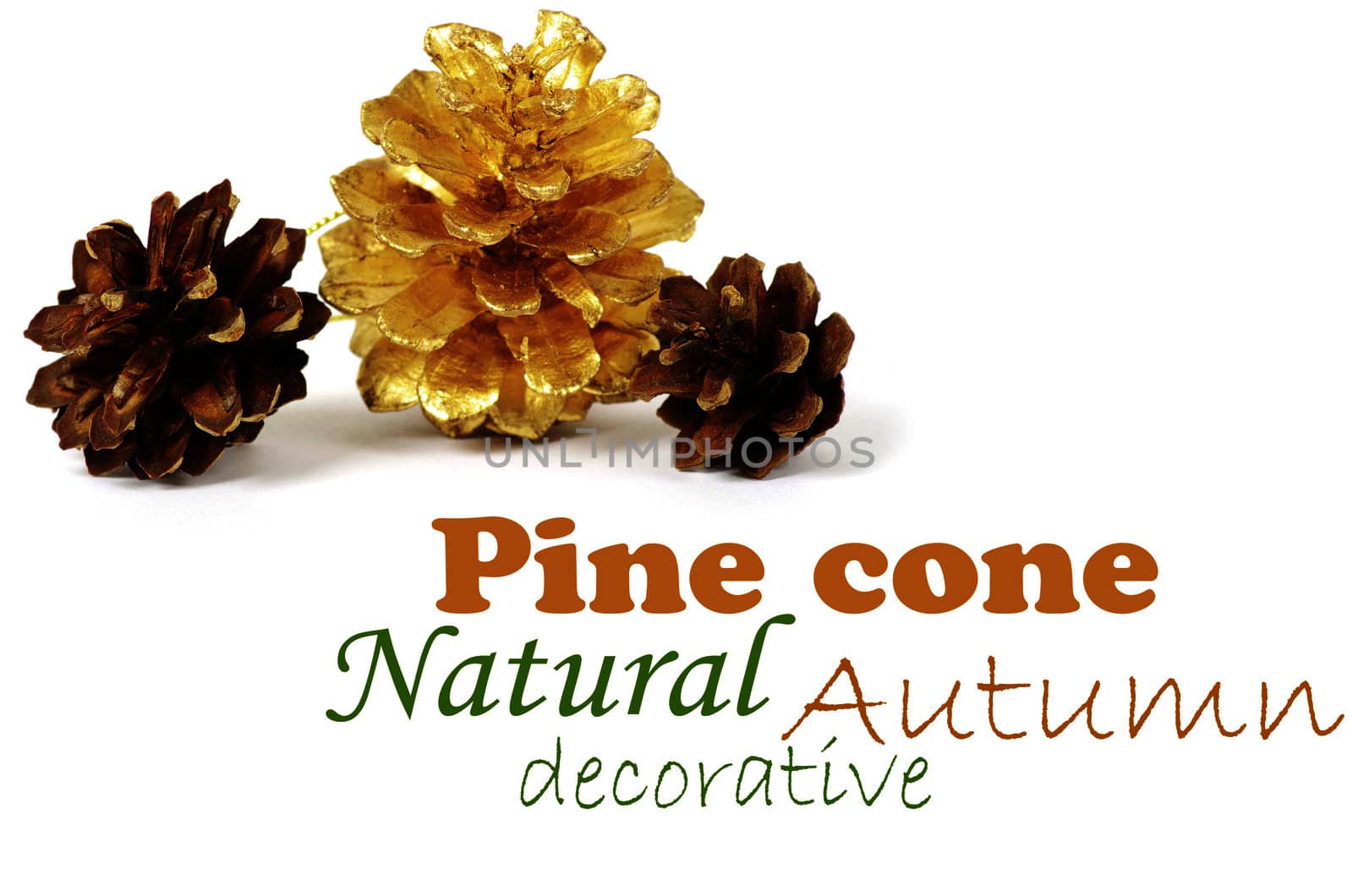 two pine cones and one golden cone over white background with shadow