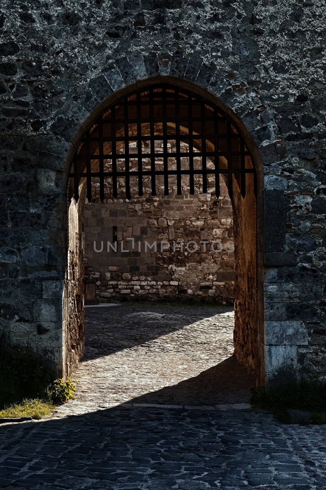 Gate of an old medieval castle