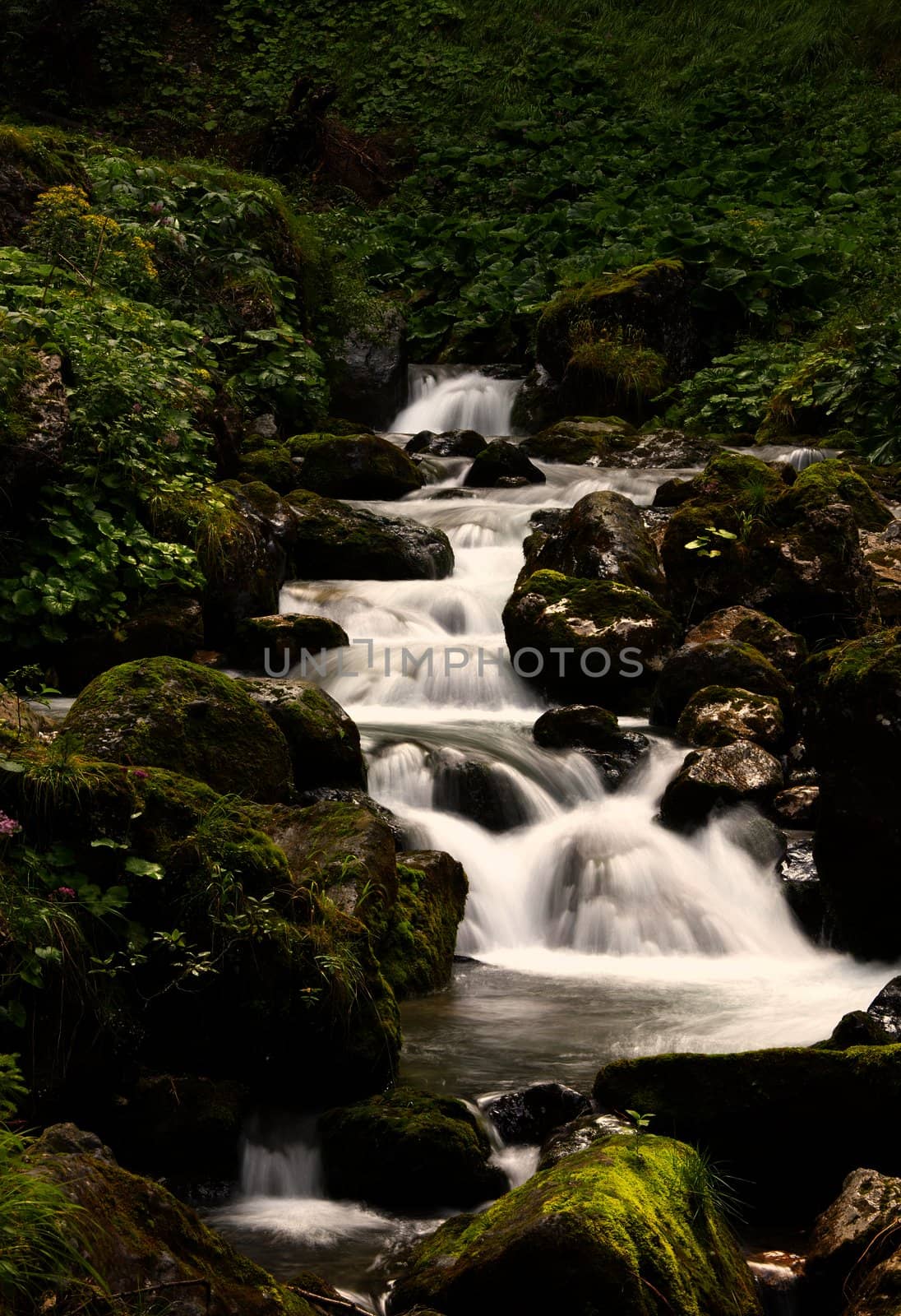 Small mountain stream with waterfalls