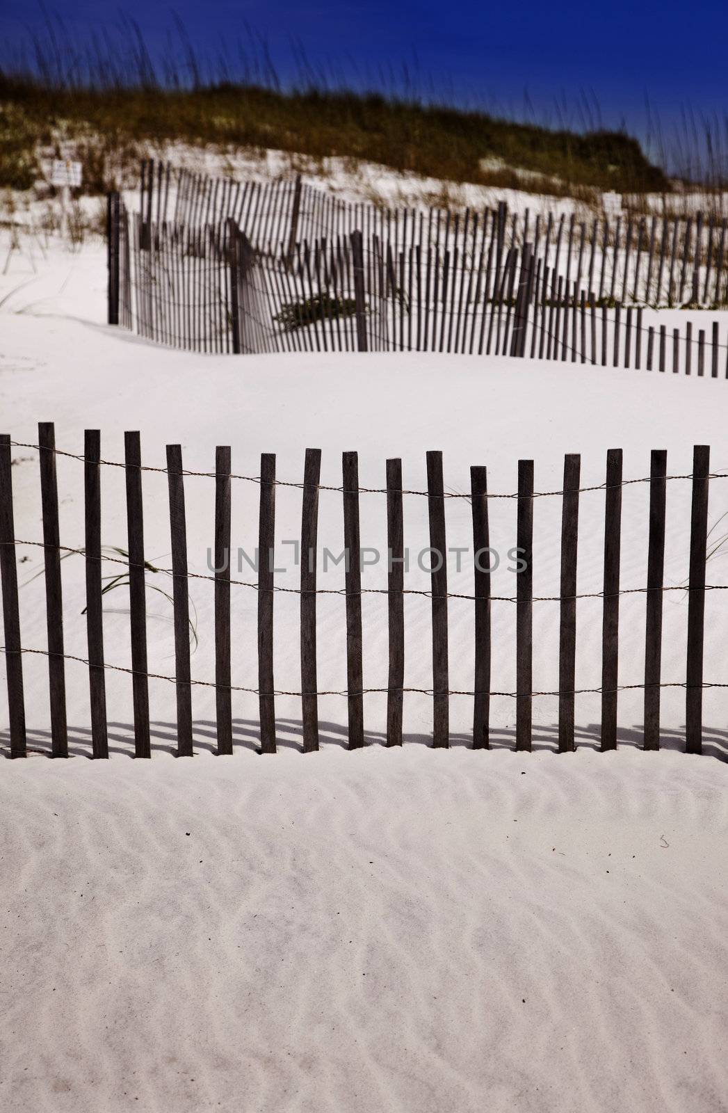 White Sand Dunes and Fence at the Beach.