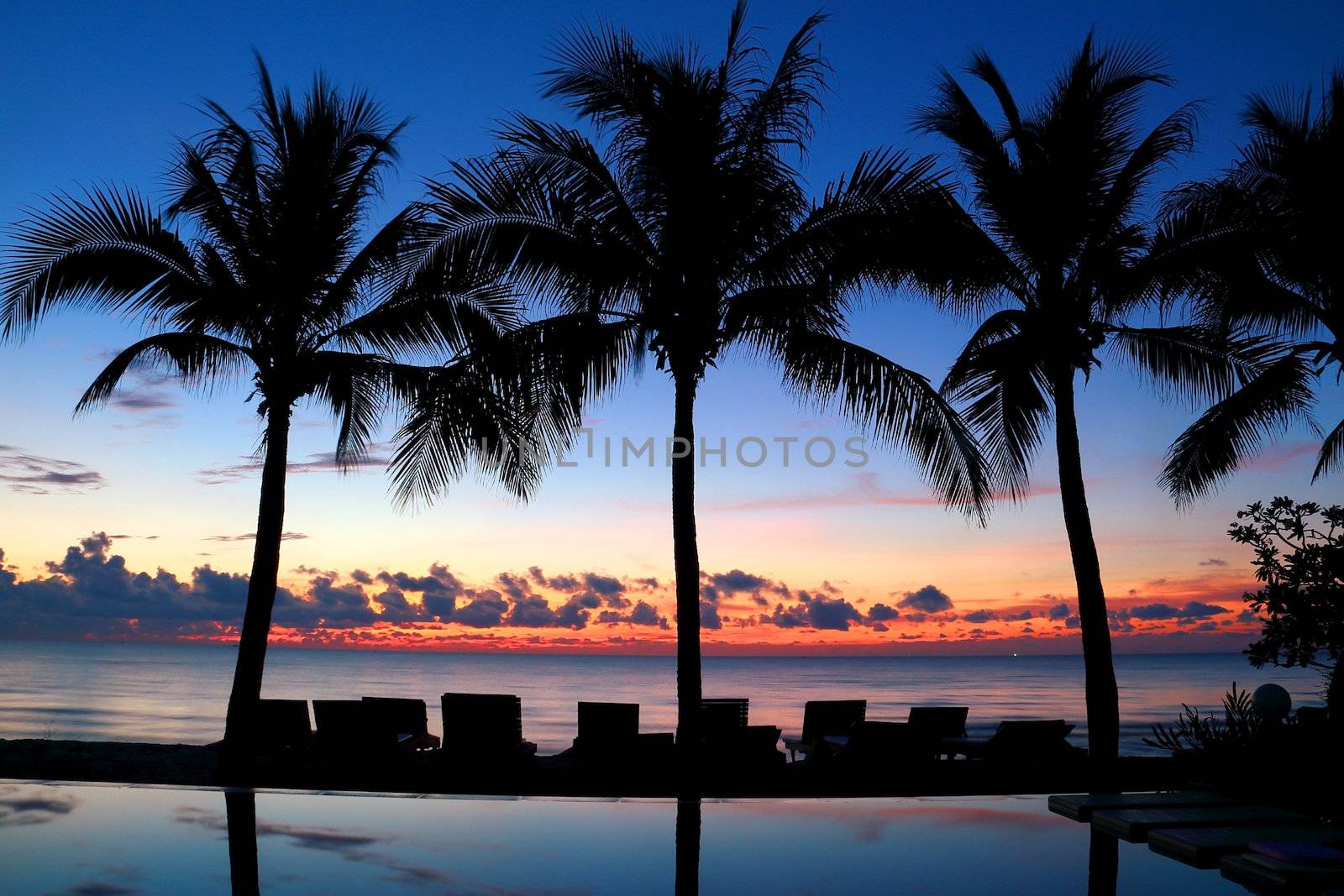 Coconut trees and beach chairs silhouette in front of the beach at twilight (sunrise)