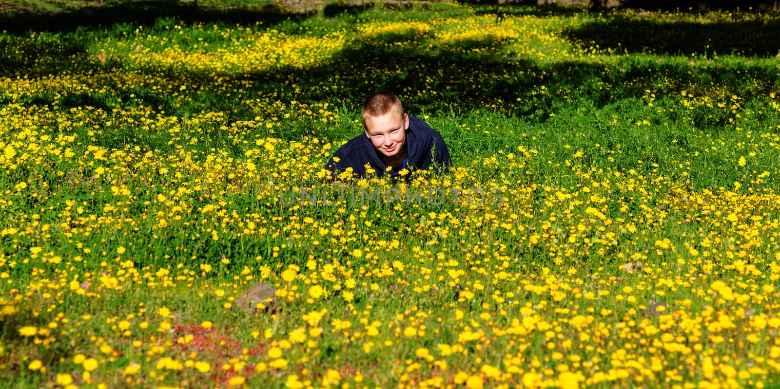 Attractive resting kid lay on the fresh spring meadow