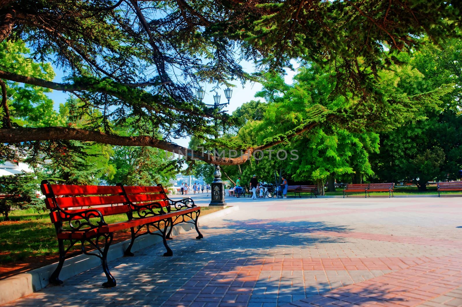 Empty bench in South Park by kosmsos111