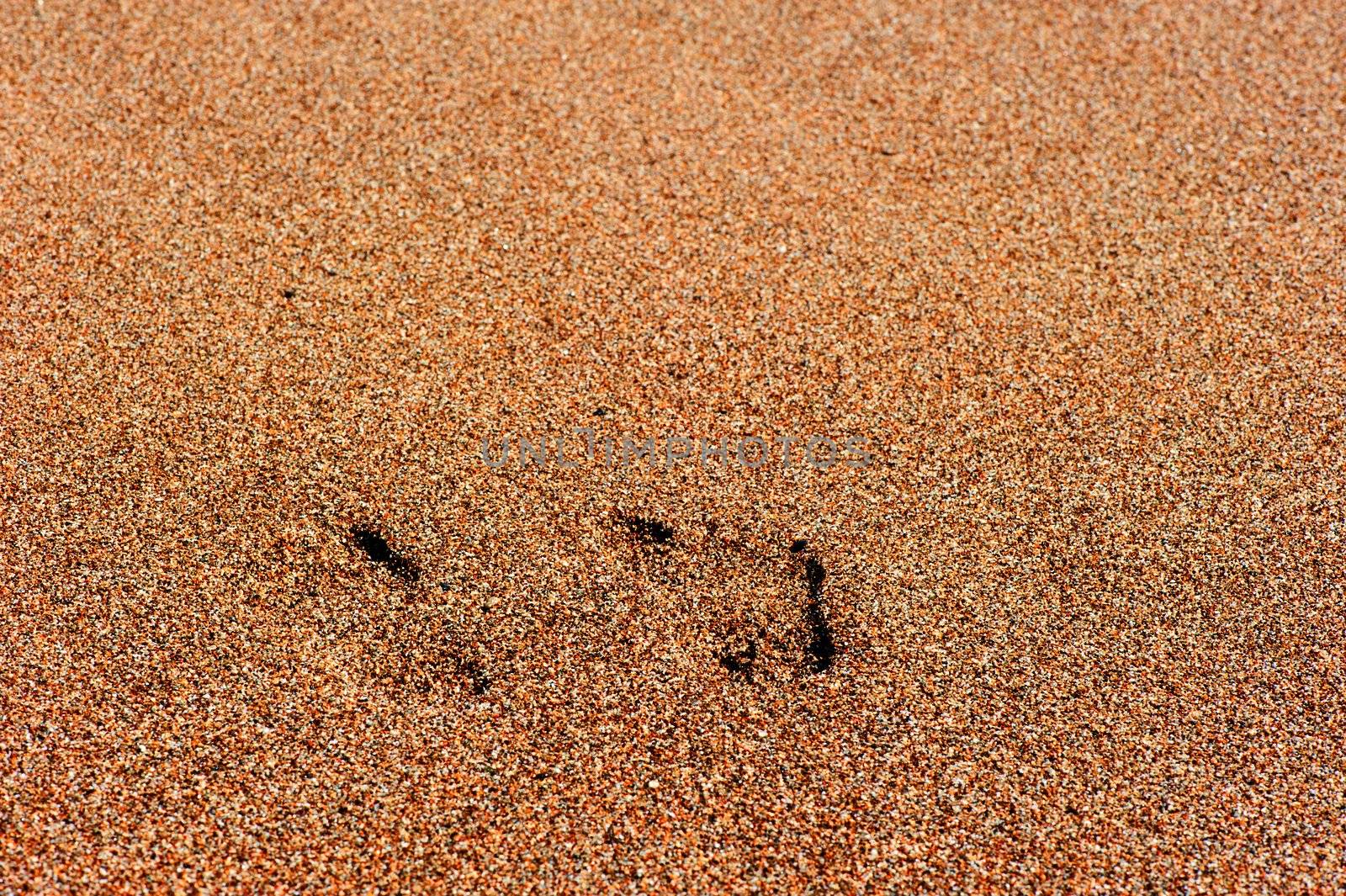 Traces of human feet in the sand beach by kosmsos111