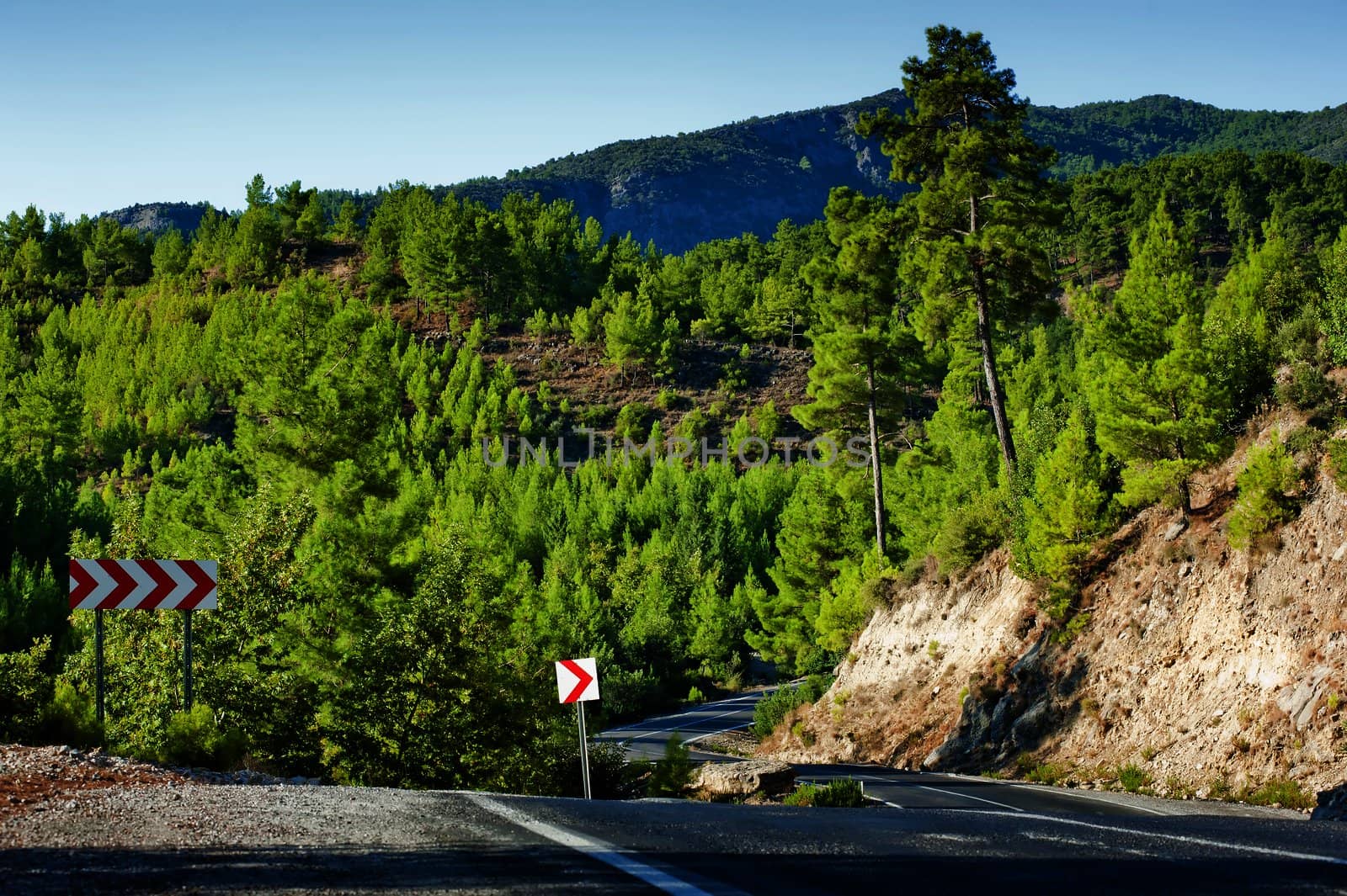 Serpentine in the green mountains of Turkey