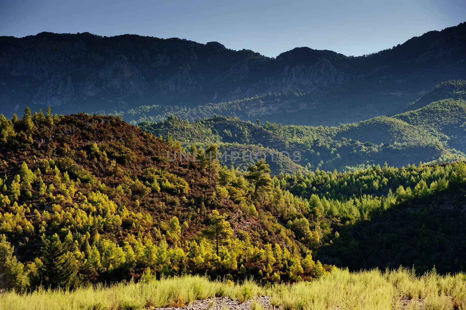 Green Hills of mountains in the background. Turkey.