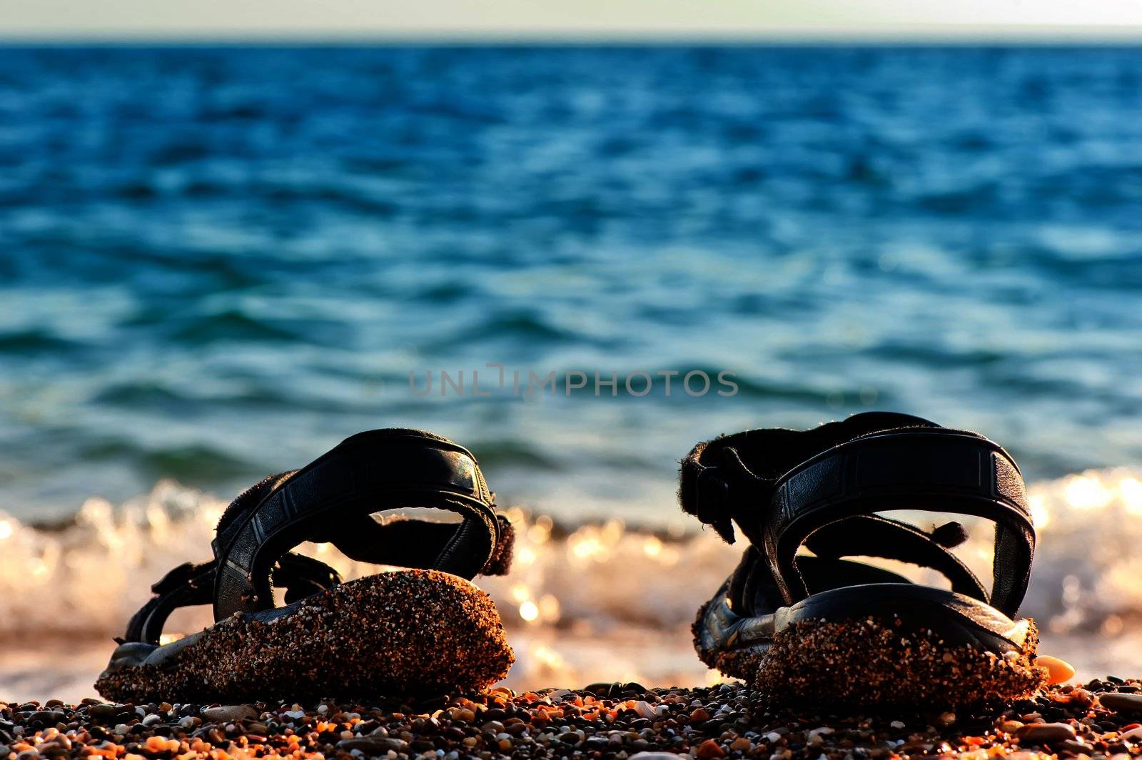 Beach shoes at the edge of the sea on the sandy beach.