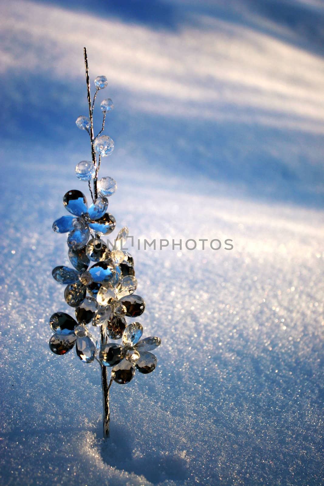 Isolated Crystal tree in the snow in a winter cold day by valentinacarpin
