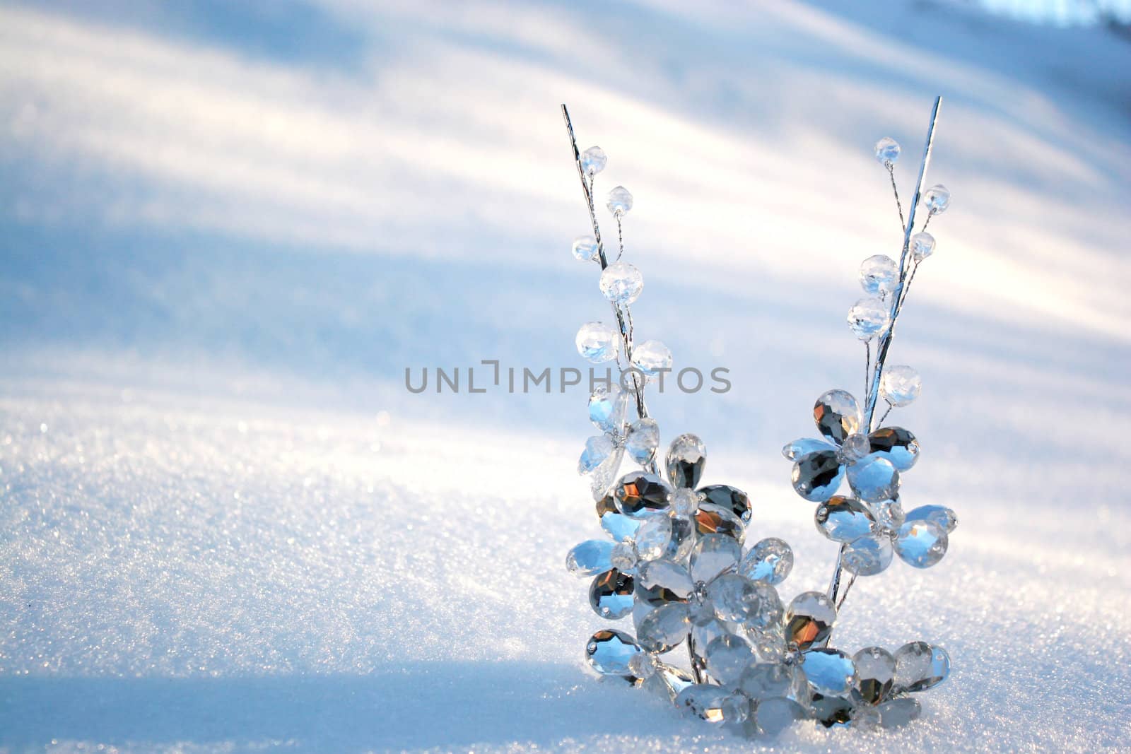 Two crystal branches trees in  the snow in a winter day