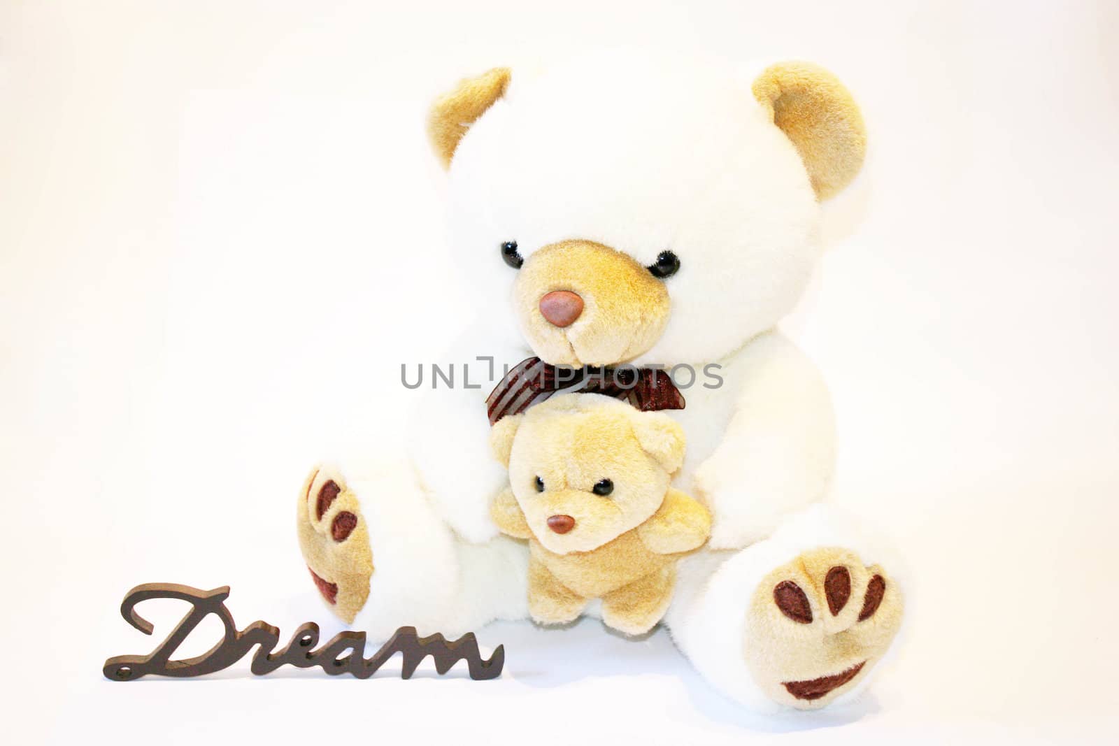 Cute teddy bear sitting on a white background whit the word dream by valentinacarpin