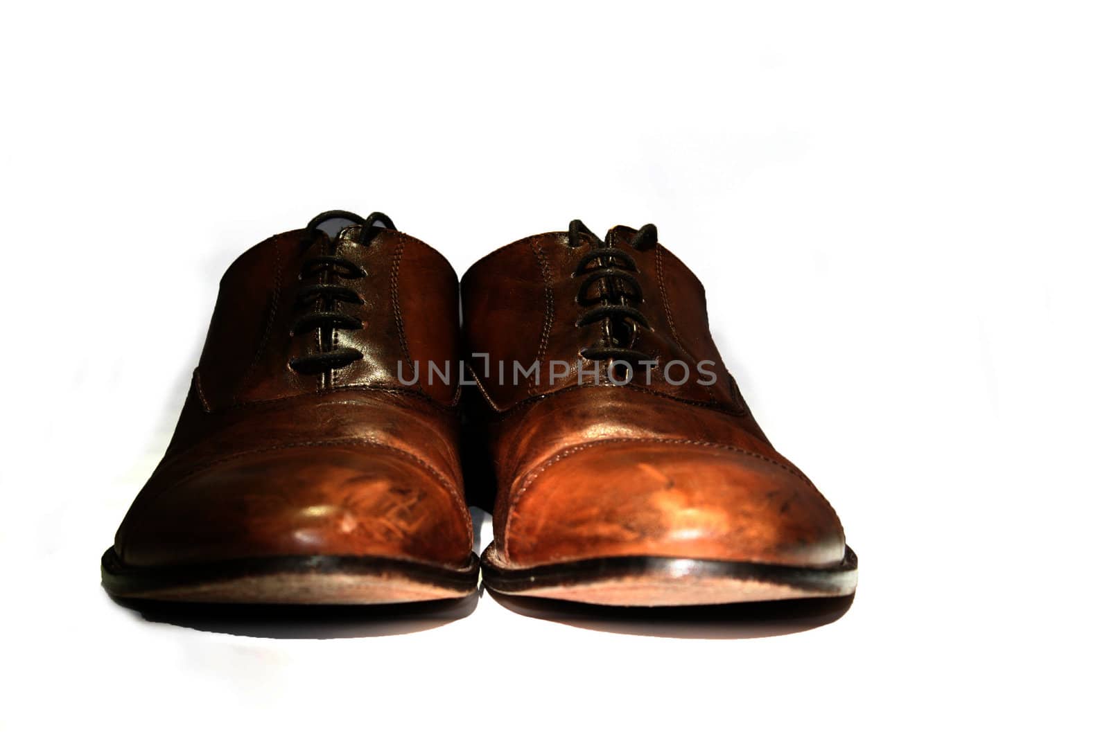 Close up of elegant beautiful brown shoes