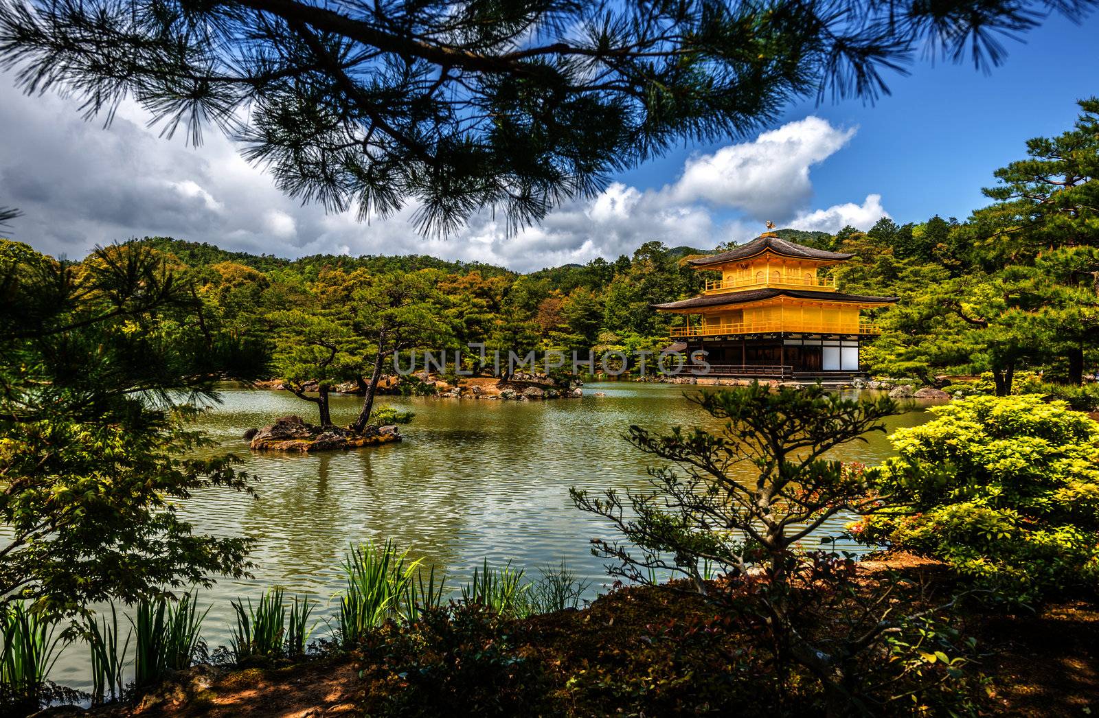 A view of Kinkakuji Temple (The Golden Pavilion) in Kyoto, Japan on a beautiful day in Spring