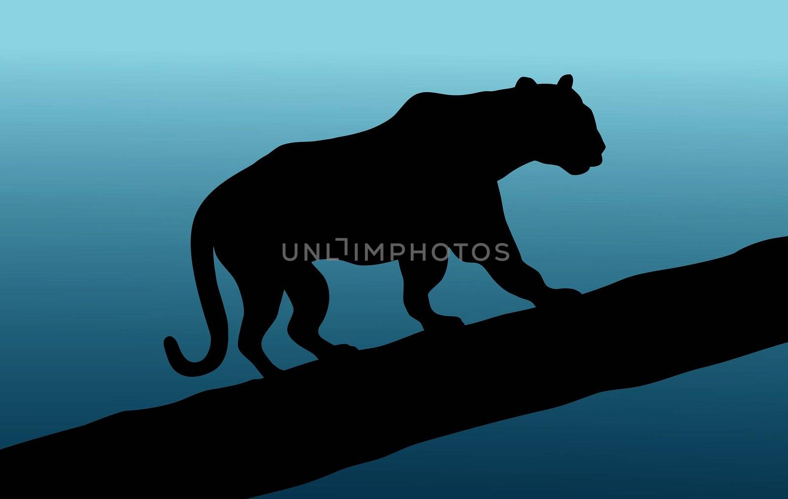 Illustration of a panther walking across a tree branch