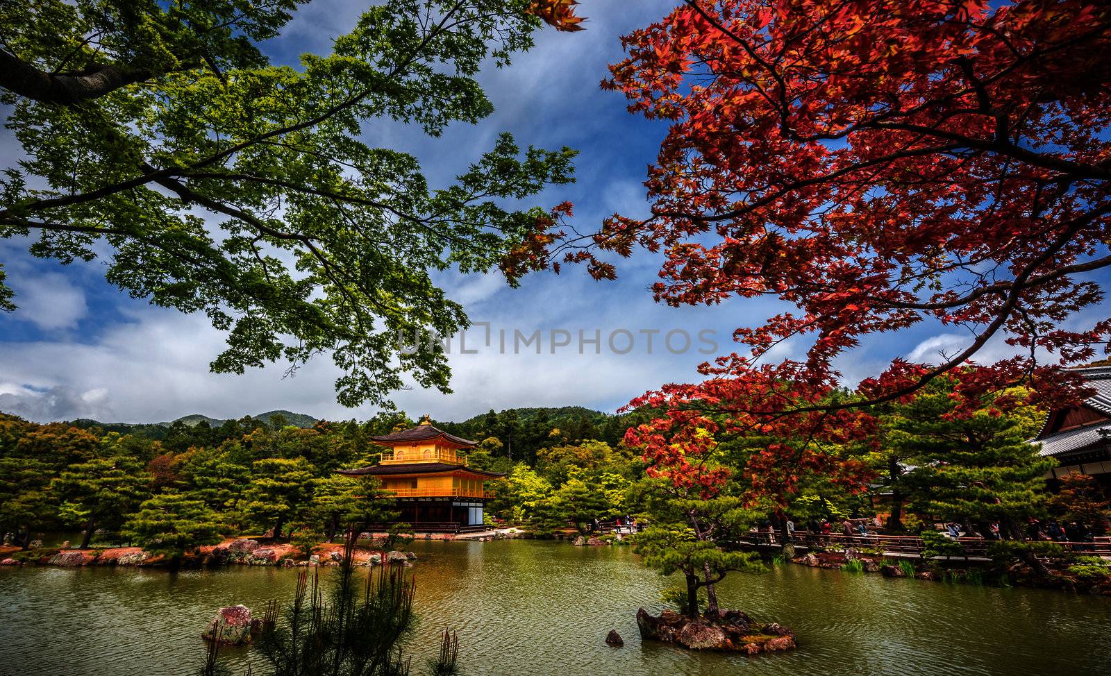 Kinkakuji Temple (The Golden Pavilion) in Kyoto, Japan  by inarts