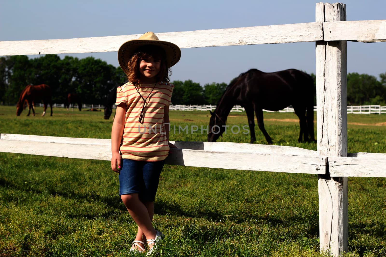 little girl on horse farm by goce
