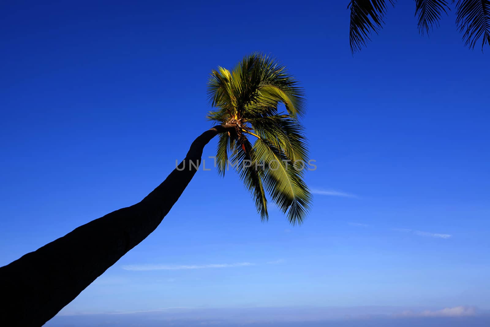 The beautiful nature of Boracay Island, Philippines