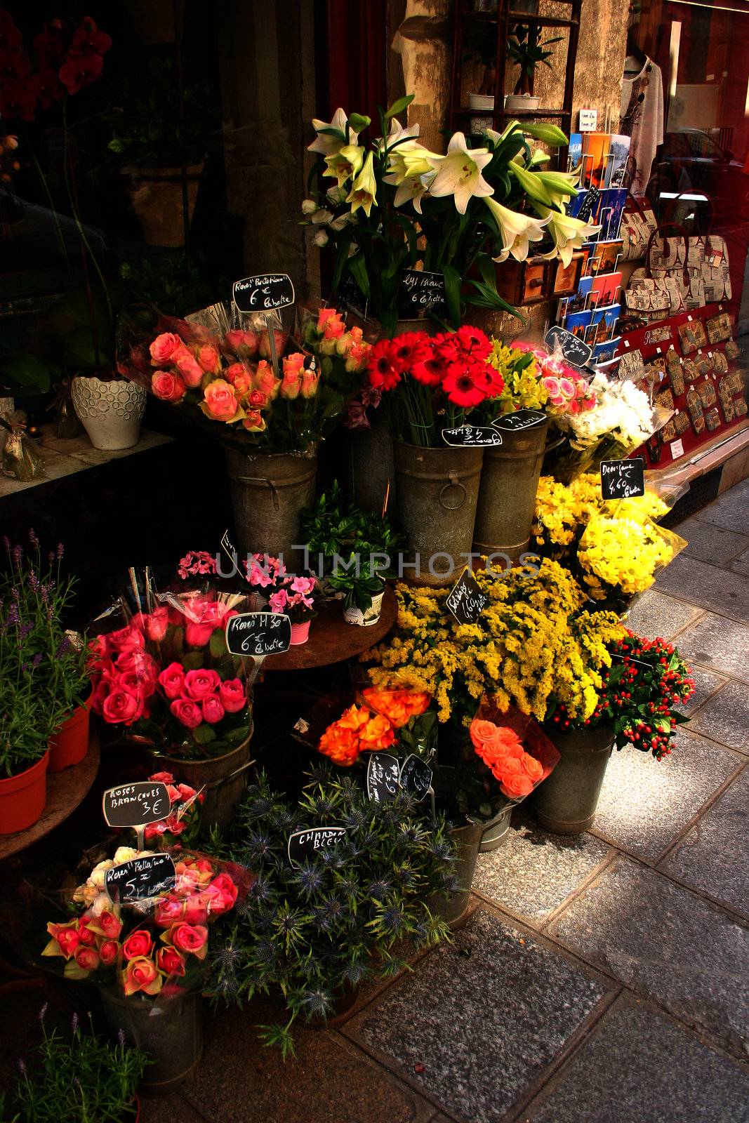 The local flower shop
 in Paris - France