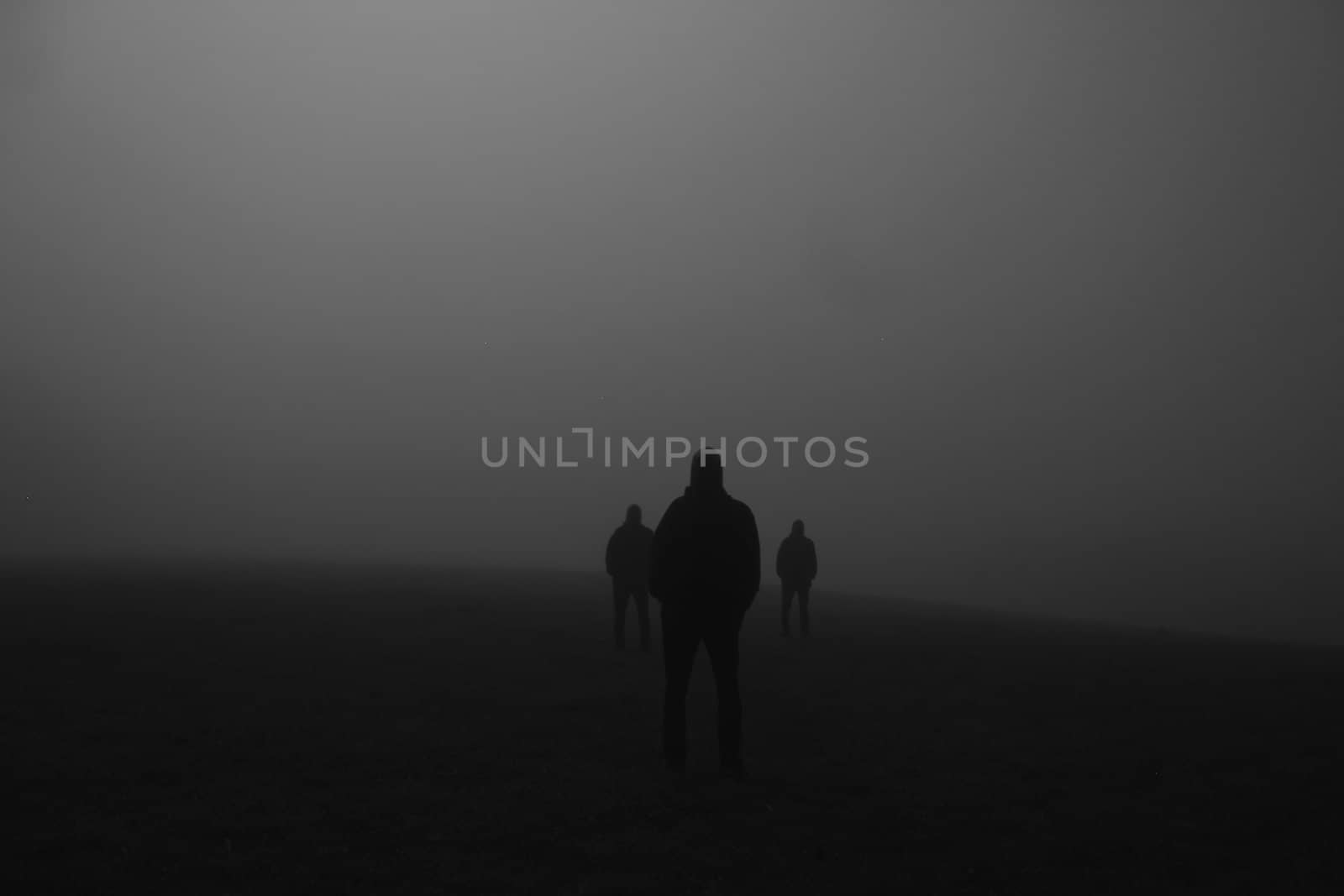 shadow of a group of people on a meadow in the night