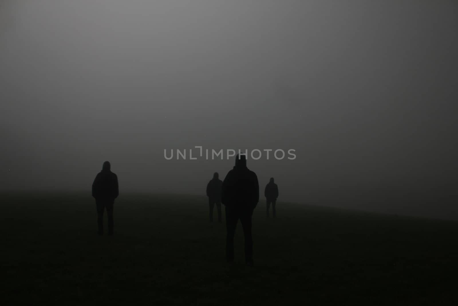 shadow of a group of people on a meadow in the night