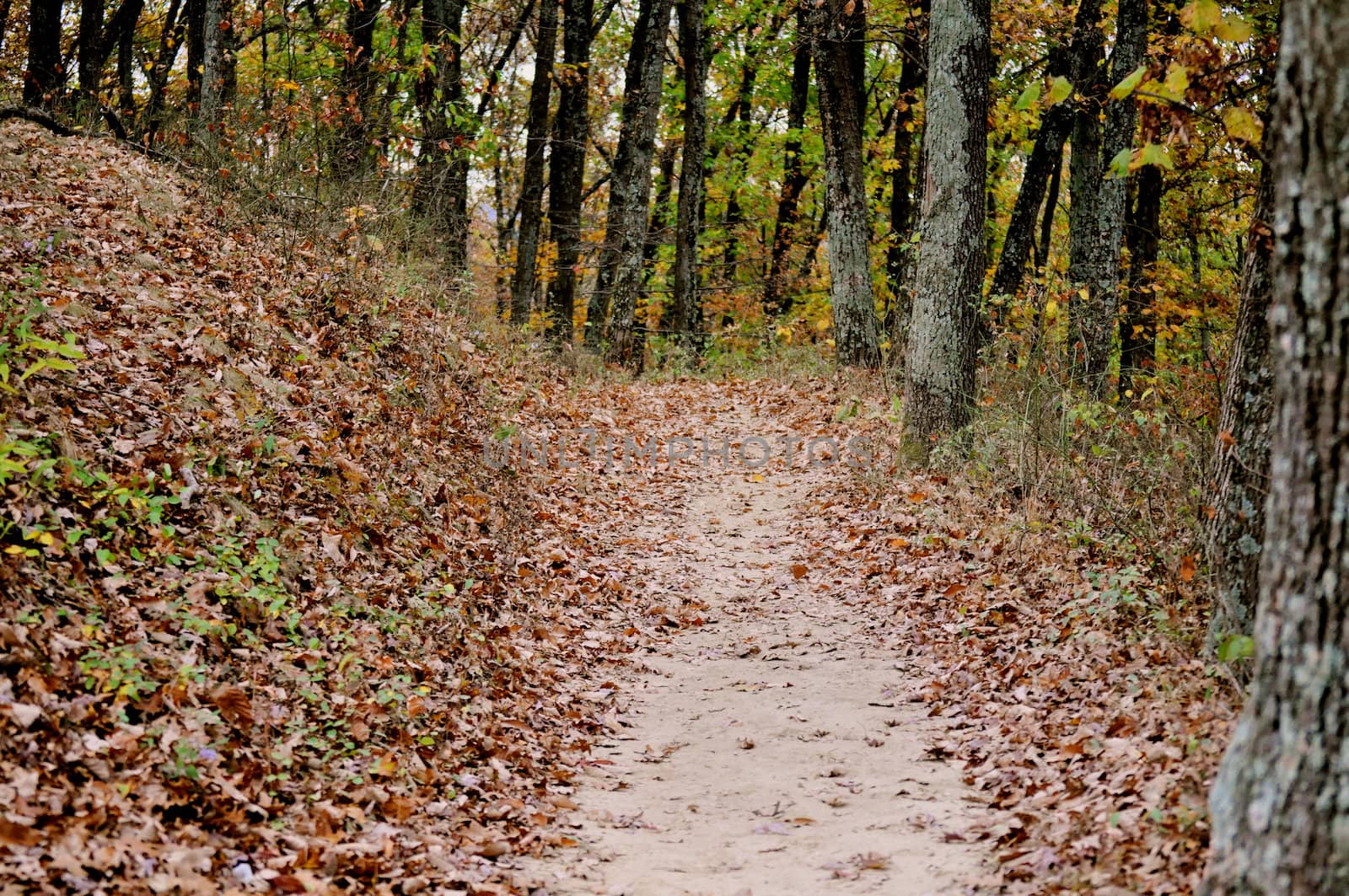 Brown County State Park