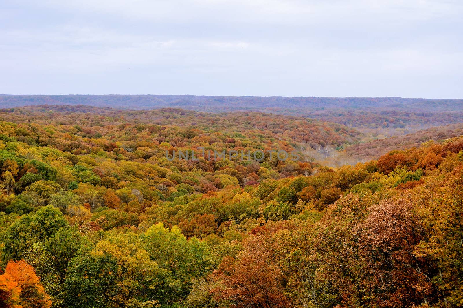 Brown County State Park