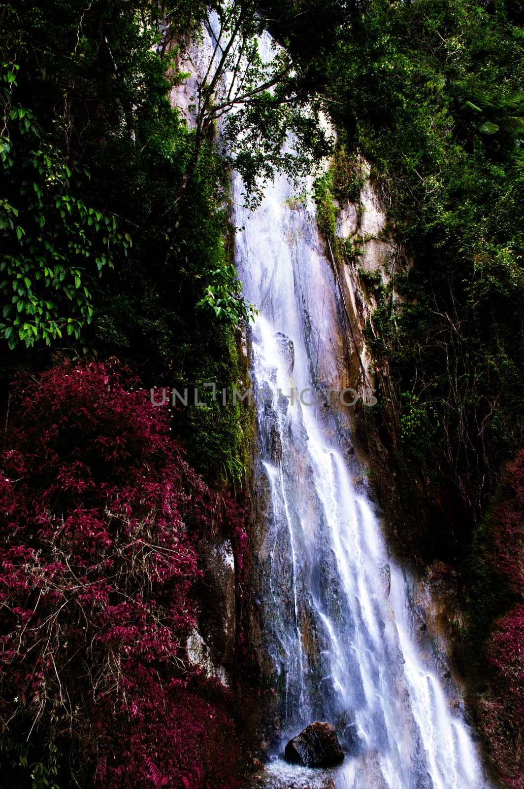 Waterfall near Tomok village. by GNNick